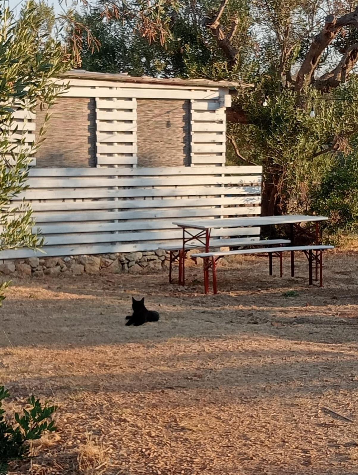 Macaria Agricampeggio Alliste Buitenkant foto